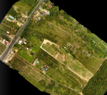 Real Estate Land for sale Prachuap Khiri Khan Province 51 rai  550000 per rai