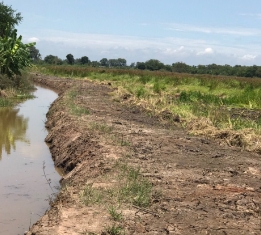 ขาย ที่ดิน ตำบลสระสี่เหลี่ยม อำเภอพนัสนิคม จังหวัดชลบุรี 85 ไร่ ติดกับ การประปาส่วนภูมิภาคสาขาพนัสนิคม