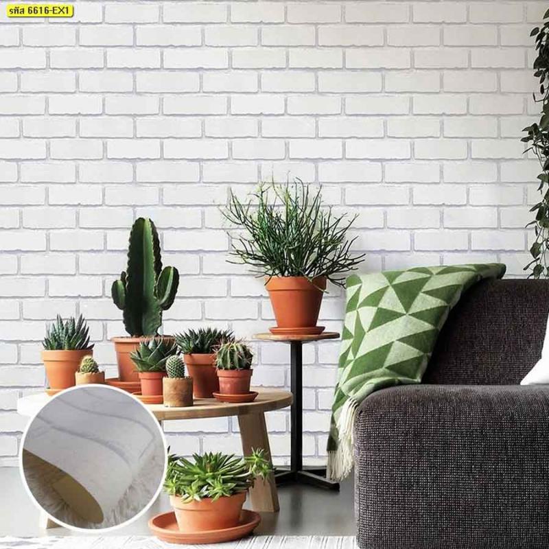 วอลเปเปอร์ลายเปลือกไม้ สำหรับตกแต่งสำนักงาน บางบ่อ คลองสวน