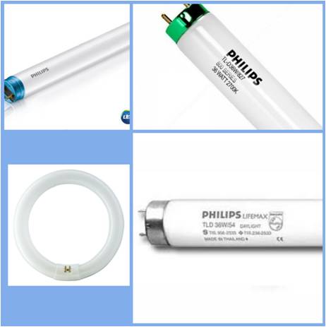 ขายหลอดไฟ Philips หลอดฆ่าเชื้อ หลอดฮาโลเจน หลอดฟลูออเรสเซนต์ หลอดแสงจันทร์ หลอดฆ่าเชื้อ หลอดไล่แมลง หลอดอินฟาเรด ศูนย์รวมขายหลอดไฟ ขายปลีกส่ง  061-395-1047, 062-698-9229