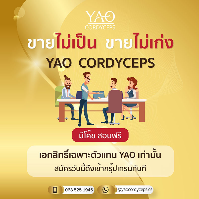 ถั่งเช่า YAO Cordyceps รับสมัครตัวแทนจำหน่าย ไม่สต๊อกสินค้า เสริมภูมิต้านทาน สร้างรายได้ กำไรสูง