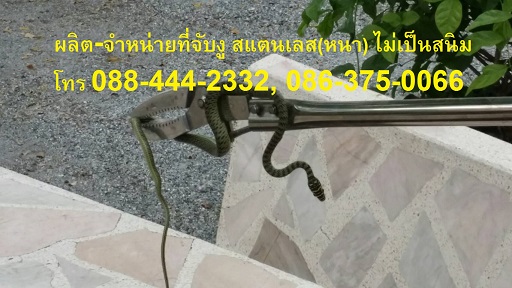 คีมจับงูสแตนเลสทน ดีที่สุดในประเทศไทย ……จับมันก่อนที่มันจะกัดเรา