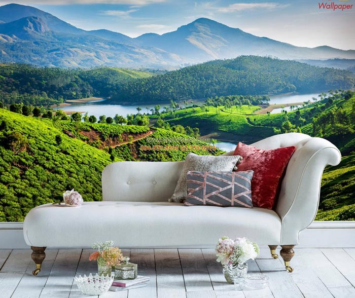 บริการติดตั้งวอลเปเปอร์ หนองไม้แดง หนองไผ่แก้ว