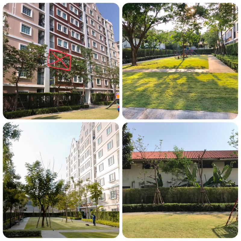 ขาย/ให้เช่า/For Rent คอนโดทิวลิปสแควร์ อ้อมน้อย เฟอร์นิเจอร์บิ้วอินทั้งห้อง ห้องใหม่  For Rent Tulip Square/Omnoi 6,500บาท/เดือน ขาย 1.59 ล้าน