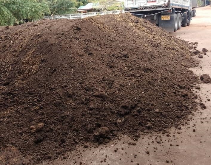 จำหน่ายปุ๋ยคอก, มููลวัวนมแห้ง