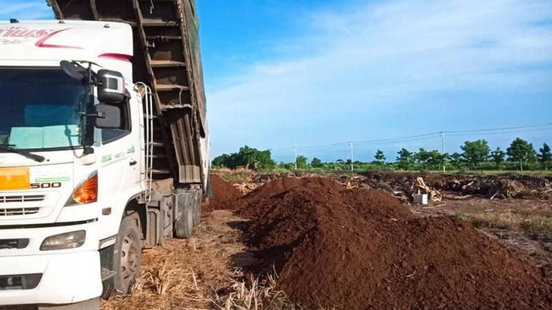 จำหน่ายปุ๋ยคอก, มููลวัวนมแห้ง