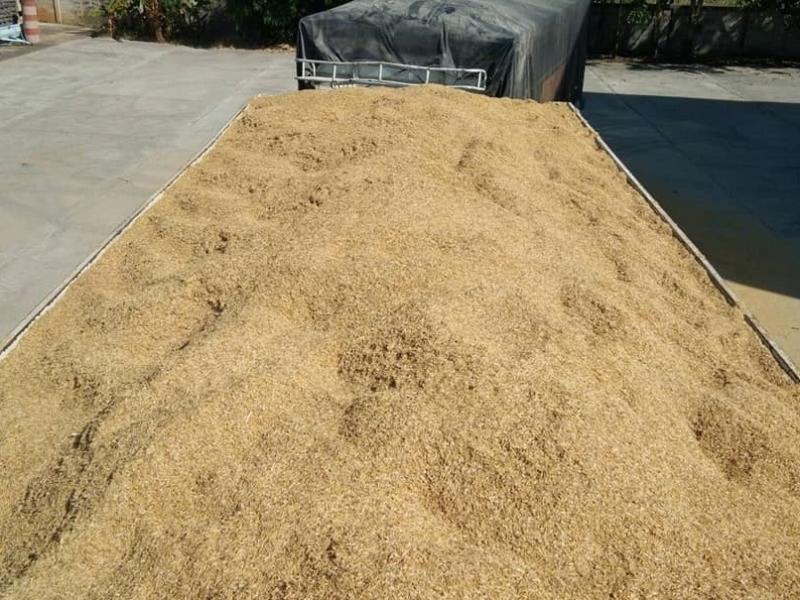 จำหน่ายแกลบดิบจากเปลือกข้าวล้วน