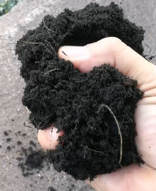 plawan plamangon soilmix