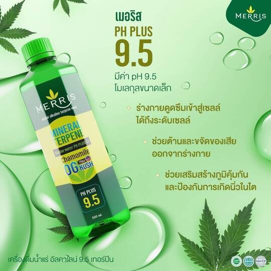 Merris น้ำดื่มอารมณ์ดี มี TERPENE จากกัญชา ศูนย์ใหญ๋ฯ 081 5955152