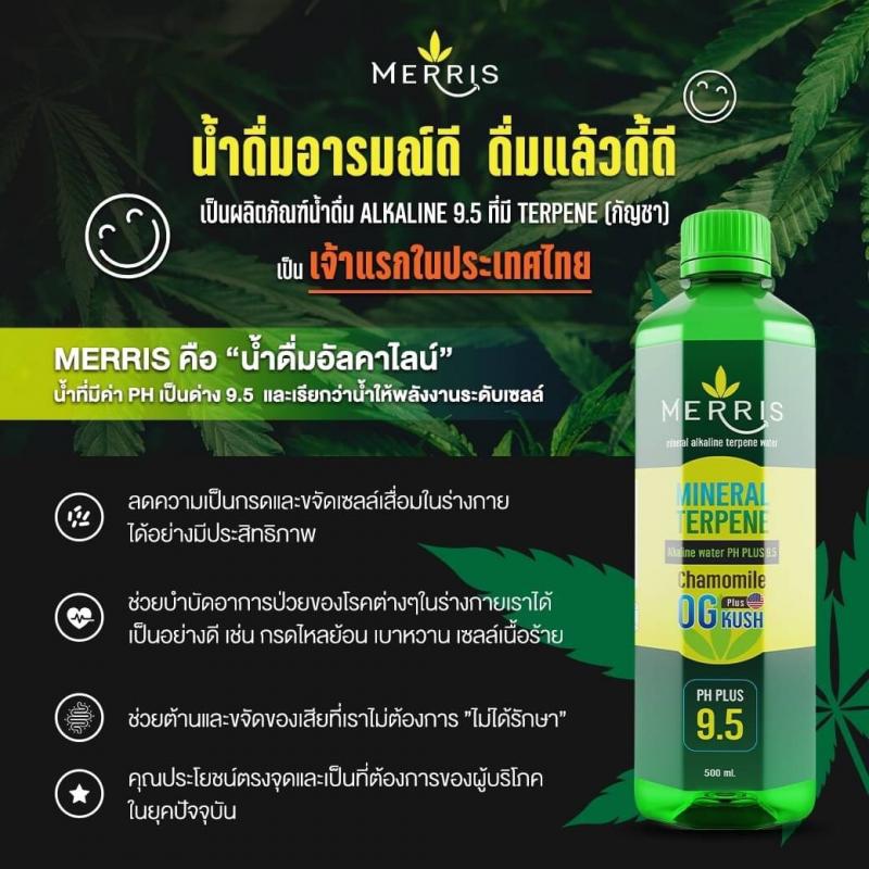 Merris น้ำดื่มอารมณ์ดี มี TERPENE จากกัญชา ศูนย์ใหญ๋ฯ 081 5955152