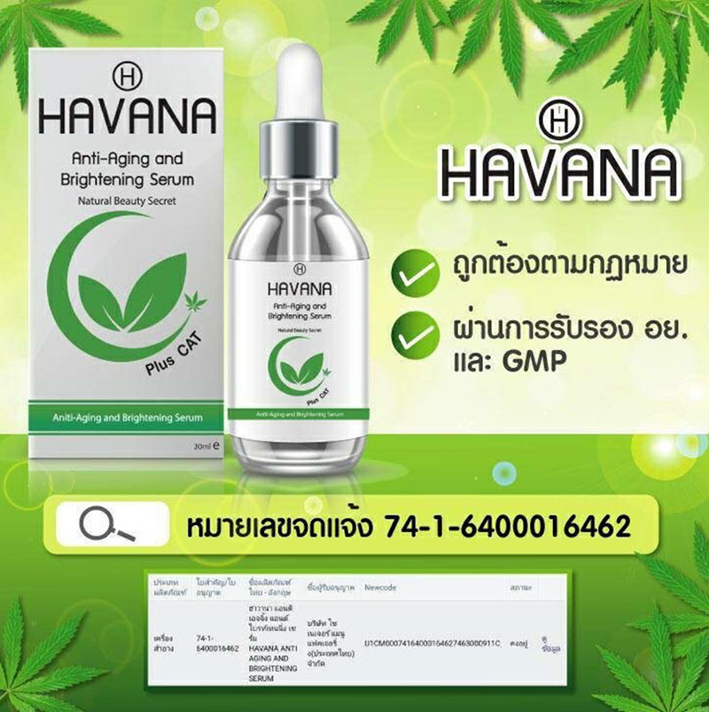 Havana ฮาวานาเซรั่มส่วนผสมจากกัญ-ชา นวัตกรรมใหม่ หน้าขาวใส มีออร่า จากภายในสู่ภายนอก