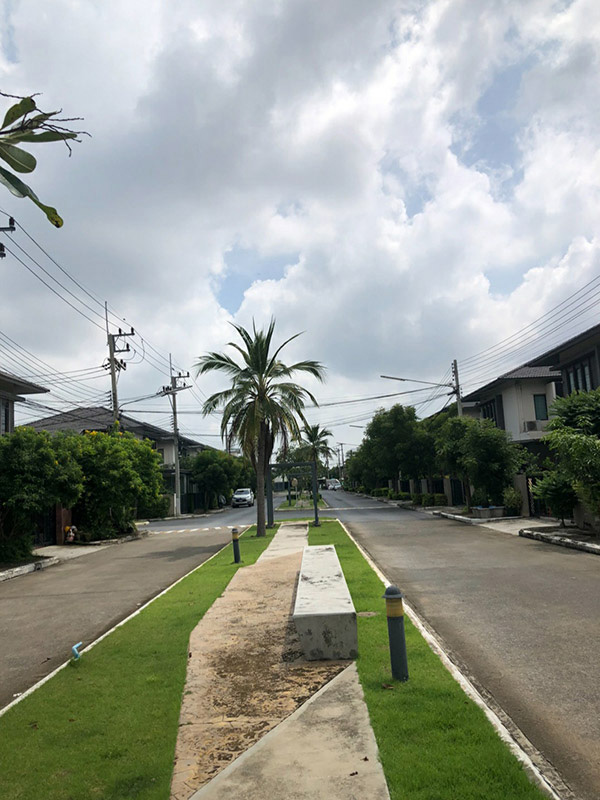 ขาย/ให้เช่า บ้านเดี่ยว 2 ชั้น หมู่บ้านเลอมิวเรีย คลองหลวง 52.3ตร.ว. 3นอน 3น้ำ 2ที่จอดรถ ฟรีโอน