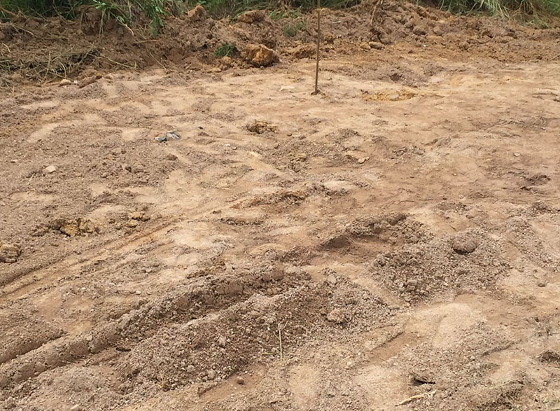 ขายที่ดิน ที่ดินถมแล้ว ต.รางบัว อ.จอมบึง จ.ราชบุรี ติดถนน บรรยากาศดีมาก โทร 081-8121814