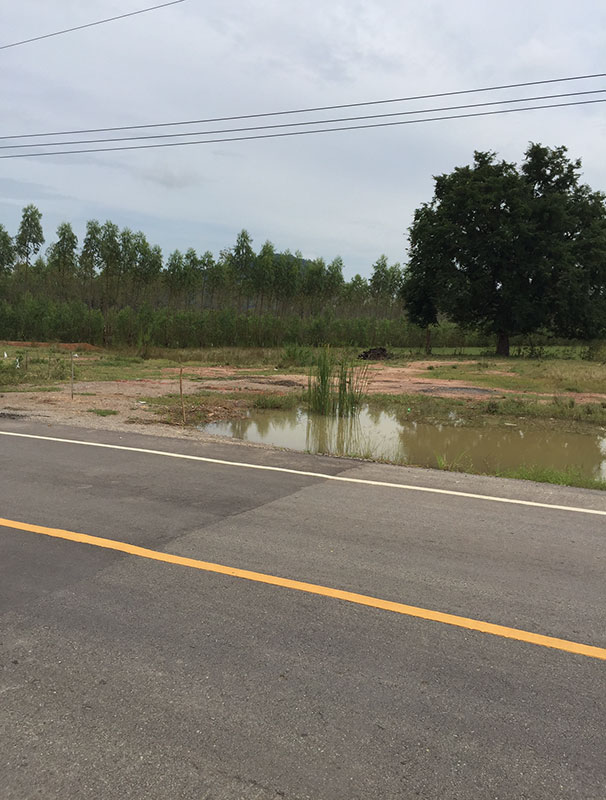 ขายที่ดิน ที่ดินถมแล้ว ต.รางบัว อ.จอมบึง จ.ราชบุรี ติดถนน บรรยากาศดีมาก โทร 081-8121814