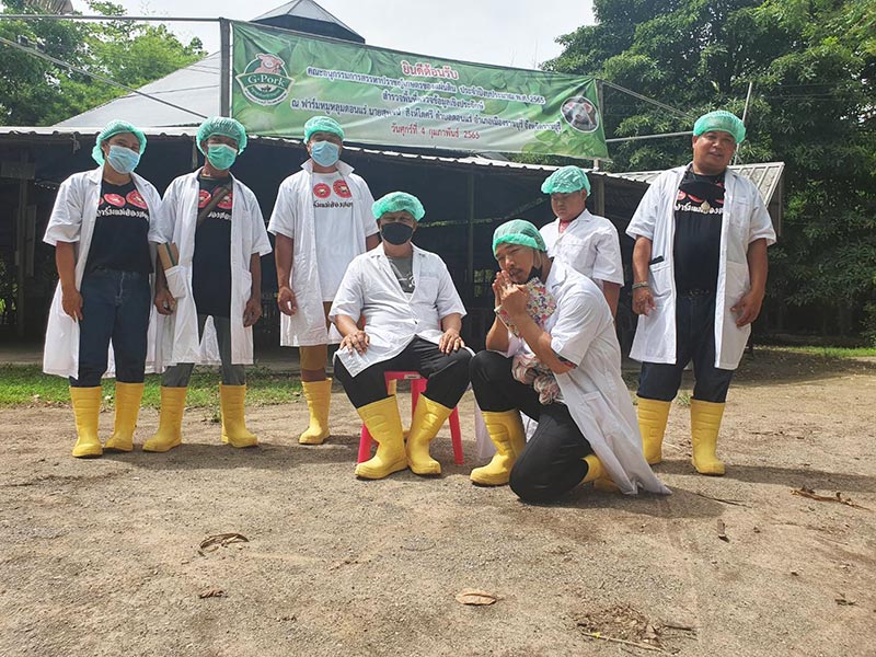 เนรมิตจิรายุฟาร์ม ฟาร์มหมู  ฟาร์มแม่ฮ่องสอน ลูกหมูเเม่ฮ่องสอน ขายหมูเเม่ฮ่องสอน จำหน่ายลูกหมู หมูขุน แม่พันธุ์ รีวิวการเลี้ยงหมูในวิถีธรรมชาติ Tel 0640146439