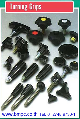 Clamp lever, ด้ามขัน, Ball plunger, สกรูตัวหนอนปลายลูกปืน, locking bolt, Hand wheel, Hoist ring, star grip, index plunger, spring plunger