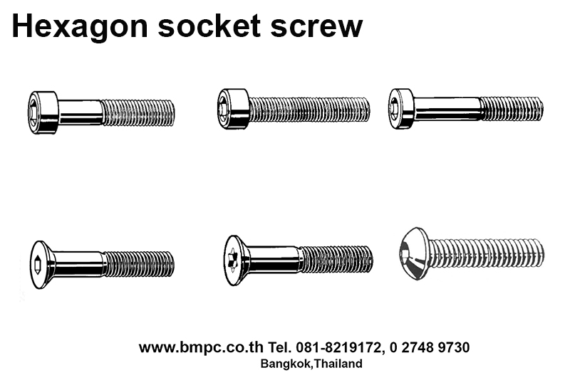 Bolt with flange, Shoulder screw, Set screw, screw plug, thin nut, lock nut, Castle nut, Locking disc spring, tab washer, e-ring, shim ring, bonded seal