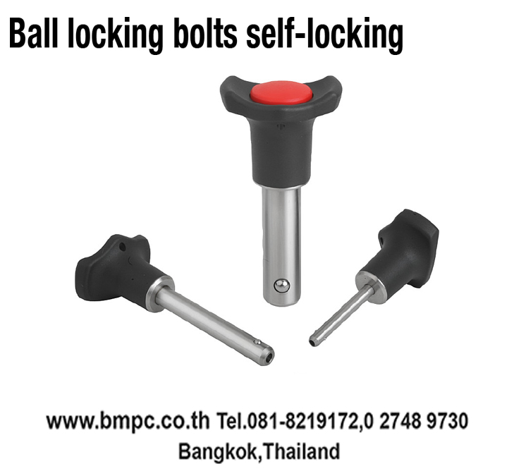 Locking bolt, Indexing plunger, Plunger with pin, สลักล๊อกตำแหน่ง, K0338, K0339, Plug index