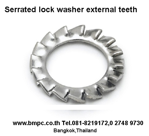 แหวนล๊อก, lock washer  Spring lock washer DIN127B, M2-M76 (แหวนสปริง)  Spring lock washer for socket cap screw DIN7980, M3-M36 (สำหรับสกรูหัวจม)  Wave spring washer DIN137B, M3-M24  (แหวนคลื่น)  Curved spring washer DIN137B, DIN128A M2-M10 (แหวนโค้ง)  Locking edge washer NEN 1570, M4-M30 (แหวนโค้งมีพิมพ์ลาย)  Toothed lock washer (External-Internal teeth), DIN6797 M2-M30 (แหวนจักร)  Conical spring washer DIN6796, M3-M24 (แหวนสปริงสำหรับงานท่อแรงดัน)  Locking Disc spring type M, Z 4-M16 (แหวนล๊อกกันคลาย)  Wedge lock washer M3-M42 (แหวนล๊อกกันคลายประกบคู่)  Schnorr safety washer type S M2.5-M36, type VS M5-M30 (แหวนโค้งจักรกันคลาย)  Contact lock washer 