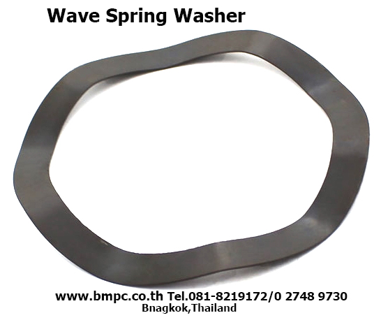 Spring washer, Curved washer, Locking edge washer, Toothed  washer, Locking Disc spring, Contact washer, Tab washer, Retaining ring , E Ring, Snap ring, Fixing washer , Safety washer