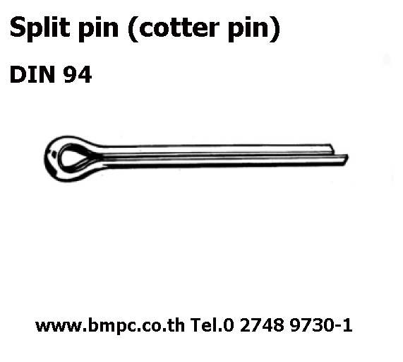 Dowel pin,Taper pin, Parallel pin, Grooved pin, Spring pin, Split pin, Cotter pin, Linch pin, Bright key, parllel key, Round head rivet