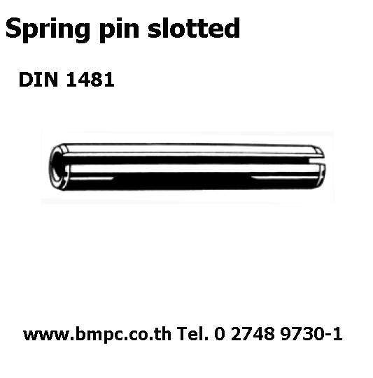 Dowel pin,Taper pin, Parallel pin, Grooved pin, Spring pin, Split pin, Cotter pin, Linch pin, Bright key, parllel key, Round head rivet