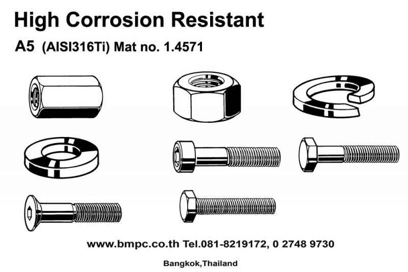 High corrosion resistant fasteners     Material :  A5- Mat. no. 1.4571-AISI 316Ti                 :  Duplex-Mat. no. 1.4462-AISI318LN                 :  HRC-Mat. No. 1.4529        น๊อตสกรูทนการกัดกร่อนสูง นำเข้าจากประเทศเยอรมันนี   มีให้เลือกสำหรับค่าทนการกัดกร่อนตั้งแต่ Class 3, 4, 5        --[if !supportLists]-->1)    --[endif]-->Hexagon head bolt   DIN931 M6-M24, DIN933 M5-M24     --[if !supportLists]-->2)    --[endif]-->Hexagon socket head screw    DIN912, M6-M16     --[if !supportLists]-->3)    --[endif]-->Nut DIN934,    M5-M36,   Dome cap nut DIN1587,  M6-M20  Extension nut DIN 6334, M6-M24  Lock nut DIN980 M5-M36     --[if !supportLists]-->4)    --[endif]-->Thread rod   DIN976 , M5-M36    