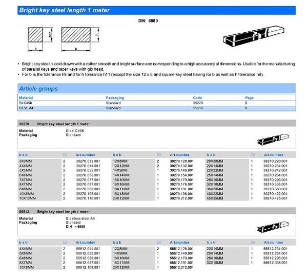 Parallel pin, pin with thread, สลักแบบมีเกลียวใน, Paralles with female thread