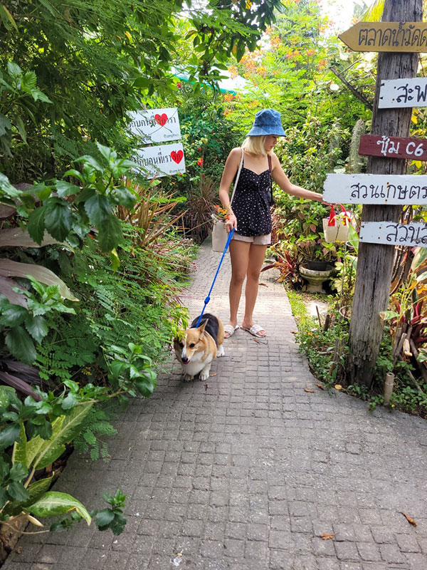 คาเฟ่ในสวนนครปฐม In Garden Hut Cafe อินการ์เด้นฮัท คาเฟ่ ร้านอาหาร ขนม เครื่องดื่ม สามพราน ตรงข้ามวัดดอนหวาย นครปฐม