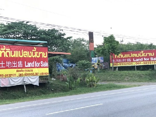 ขายที่ดิน ติดถนน 304 นครราชสีมา-กบินทร์บุรี ฝั่งเข้าตัวเมืองนครราชสีมา เจ้าของขายเอง