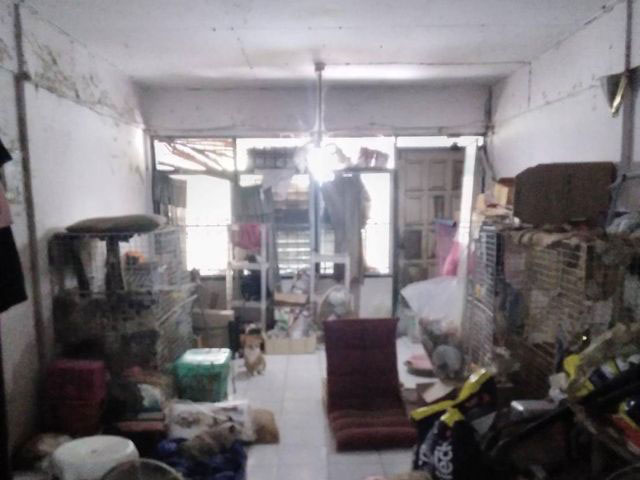 ขายทาวน์เฮ้าส์ 2ชั้น ซ.ลาดพร้าว95 ขายต่ำกว่าตลาด หมู่บ้านปรางค์ทิพย์ ทำเลดี เดินทางสะดวก