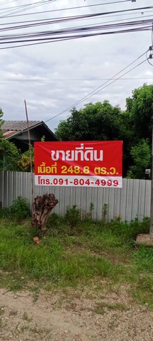ขายที่ดิน บ้านอ่าย  ติดถนนโชตนา (ฝาง -เชียงใหม่) ต. ศรีดงเย็น อ.ไชยปราการ  จ.เชียงใหม่  ใกล้ฮิโนกิแลนด์