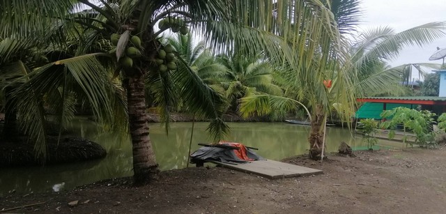 ขายที่ดิน​ ต.หลักสอง อ.บ้านแพ้ว​ จ.สมุทรสาคร เนื้อที่ 42ไร่​ เป็นสวนมะพร้าว​น้ำหอม​ มีบ้านพร้อมอยู่​