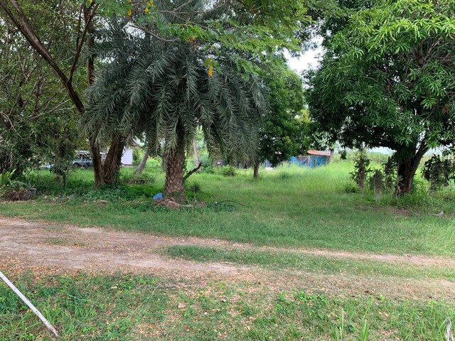 ขายด่วน ที่ดินแปลงสวยมากๆ ติดริมน้ำ ปากทางเข้าอยู่ตรงข้ามวัดเขาดิน ต.ท่าม่วง อ.ท่าม่วง จ.กาญจนบุรี