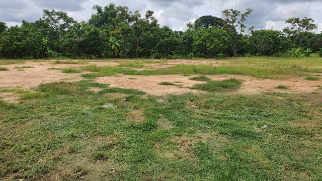 ขายด่วน ที่ดินถมเเล้วในเชียงใหม่ ทำเลดี ใกล้วงแหวนรอบ 3 ใกล้โรงเรียนนานาชาติ