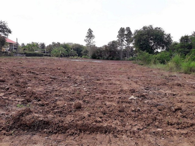 ขายด่วน ที่ดินสวย ทำเลดี 6 ไร่ 3 งาน 60 ตรว ต.ผักขะ อ.วัฒนานคร​ จังหวัดสระแก้ว