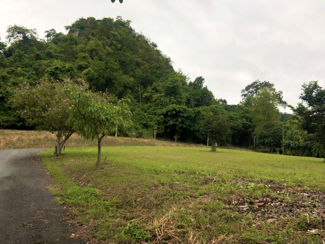 ขายที่ดิน470 ตร.ว.อำเภอมวกเหล็กสระบุรีสนามกอล์ฟเซอร์เจมส์คันทรีคลับ อ.มวกเหล็ก จ.สระบุรี แปลงมุม