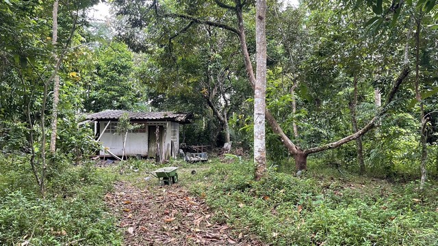 ที่ดินผืนใหญ่พื้นที่ 22ไร่ 2งาน 45ตารางวา ต.เขาบายศรี อ.ท่าใหม่ จ.จันทบุรี