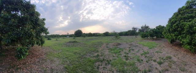 ขายด่วน ที่ดิน เปล่า พื้นที่สวย น้ำ ไฟเข้าถึง พิกัด ต.หนองแฝก สารภี จ.เชียงใหม่