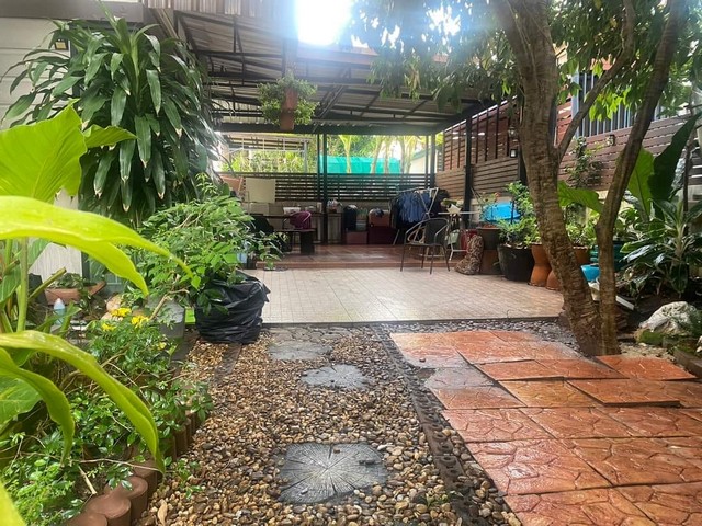 ขายด่วนบ้านเดี่ยว 2 ชั้น 50 ตรว. หมู่บ้านฟ้าปิยรมย์ เนสโต้ ลำลูกกา คลอง 6 บ้านเดี่ยวสไตล์โมเดิร์นทรอปิคอล