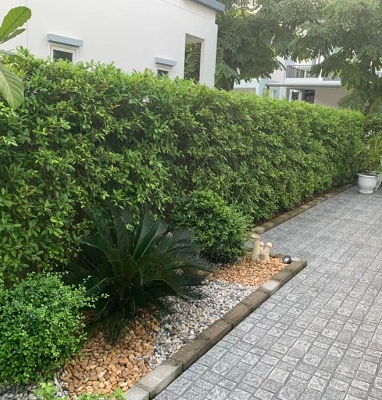 ให้เช่าบ้านเดี่ยว อิคอนเนเจอร์ รามอินทรา มีนบุรี บางชัน