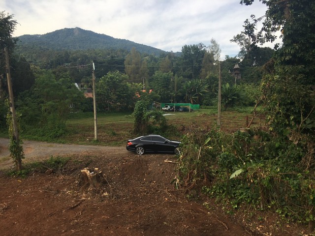 ขายที่ดินขนาด 351 ตารางวา แถมบ้านสไตล์รีสอร์ทตามสภาพ  ตำบลโป่งแยง อำเภอแม่ริม จังหวัดเชียงใหม่