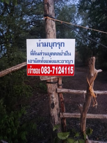 ขายที่ดิน อ.บ้านตาก จ.ตาก 36 -0-95ไร่ แบ่งขาย บ้านตากเมืองตาก.บ้านตาก ติดถนนดำ ทางหลวงชนบท คมนาคมสะดวกมาก 36 ไร่เศษ อ.บ้านตาก  จ.ตาก  ติด ทล.1107 โทร 0968821857