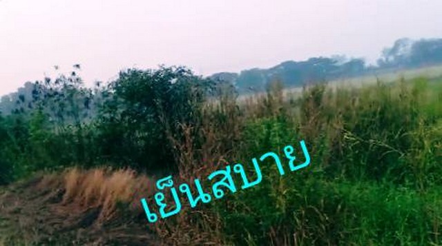 ขายที่ดินติดถนนคอนกรีต ต.อ.มหาราช อยุธยา  4-1-88ไร่ อำเภอมหาราช ถนนคอนกรีต มหาราช อยุธยา