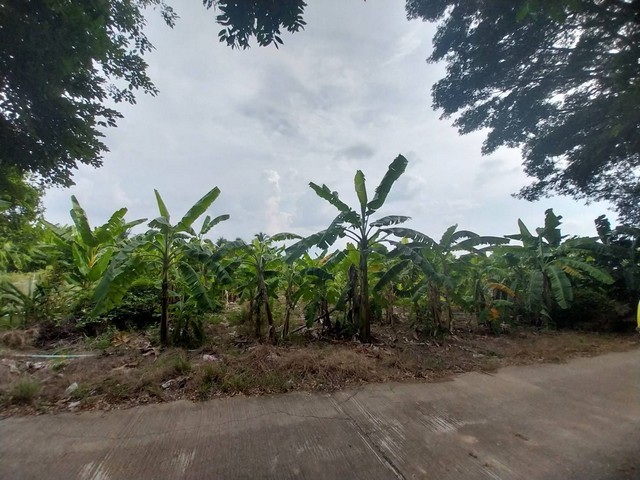 ขายด่วน ที่ดิน 1 ไร่ บ้านมะเกลือ อำเภอเมือง จังหวัดนครสวรรค์   ZK164