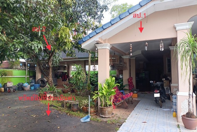 ข่ายบ้านเดี่ยวโครงการ  สินธรบายพาส อ.เมือง จังหวัดสุราษฎร์ธานี PKK02-13433