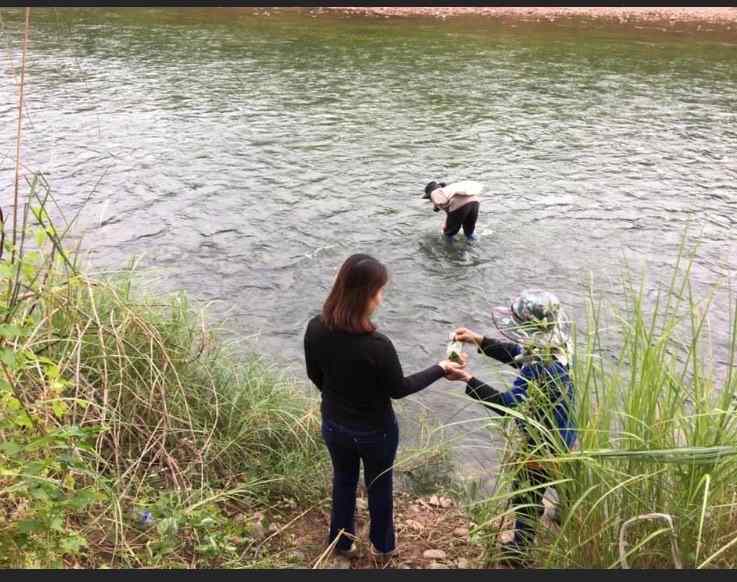 ขายที่ดินติดลำน้ำน่านวิวภูคา อำเภอทุ่งช้าง 3-1-47ไร่ ถ้าน้ำท่วมคืนเงิน จ. น่าน