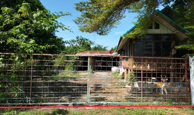 ขายบ้านเดี่ยว   อำเภอเฉลิมพระเกียรติ   สระบุรี   (PKK02-14322)