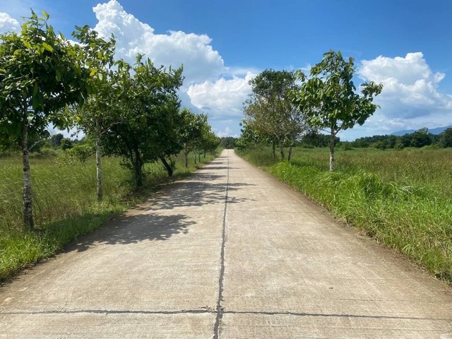 ที่ดินแปลงสวย อ.มะขาม จ.จันทบุรี ผืนใหญ่ เหมาะกับทำธุรกิจ/