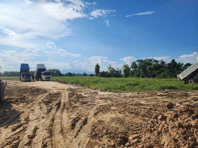 ขายที่ดินสันกำแพง สายใหม่ เชียงใหม่ ใกล้ถนน แยกสันกลาง 15 นาที ตรวละ 6,500 เนื้อที่ 200 ตรว แปลงมุม ติดถนนคอนกรีต